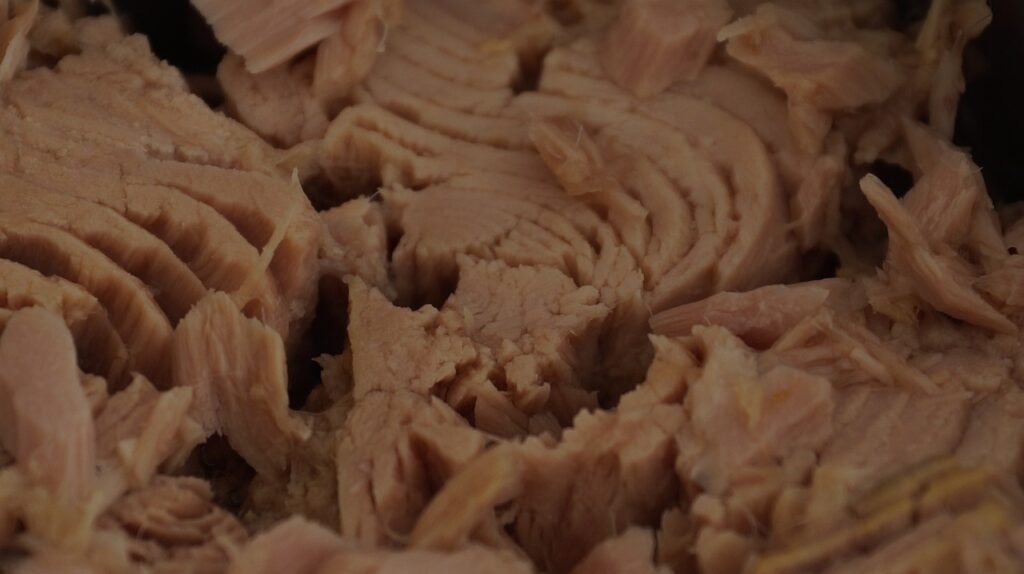 tuna, fish, food-439755.jpg